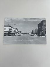 Photo Postcard-MINNESOTA--Paynesville--Street Scene--Hotel Drug Store Texaco Gas picture