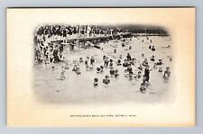 Detroit MI-Michigan, Bathing Beach Belle Isle Park, Antique Vintage Postcard picture