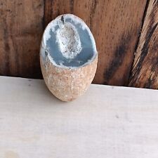 Small Egg Shapped Enhydro Agate Natural Agate Water Inside Quartz Crystal Rock picture