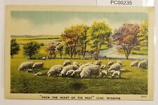 From the Heart of the West Lusk Wyoming Postcard Sheep in Pasture picture