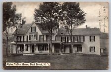 Alpine Valley House Buck Brook New York NY Catskills 1914 Postcard picture