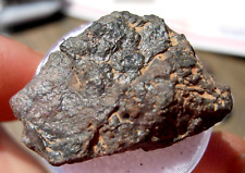 8.04 grams OXIDE Canyon Diablo Meteor Crater OXIDITE Meteorite as found Low Iron picture