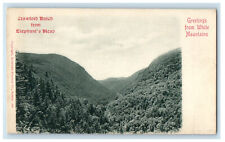 c1900s Crawford Notch From Elephants Head White Mountains NH Posted PMC Postcard picture