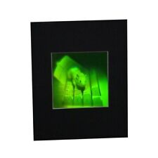 3D Mouse Multi-Channel Hologram Picture MATTED, Polaroid Photopolymer Film picture