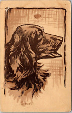 postcard 1908 Dog Spaniel 