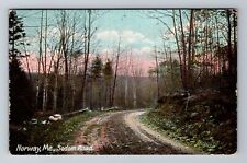 Norway ME-Maine, Sedom Road, Antique, Vintage c1913 Souvenir Postcard picture