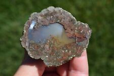 Polished Thunderegg Agate Blue Chalcedony Opal Green Pink Ochoco Mtns Oregon picture