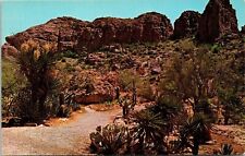 Entrance Cactus Gardens Boyce Thompson SW Arboretum Superior AZ Arizona Postcard picture