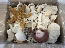 6lbs Mixed Lot of Sea Shells Décor and Crafts Lot picture
