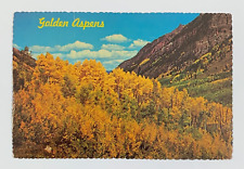 Valley of Golden Aspens Trees Autumn in Colorado Rocky Mountains Postcard picture