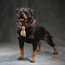 Mr.Z 1:6 Animal Resin Simulation Toy Rottweiler Dog Figure 5 Model Gift In Stock picture