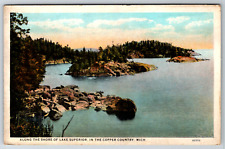 c1920s Along the Shore Lake Superior Copper Country Michigan Antique Postcard picture