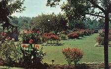 Postcard Old Fashioned Famous Flower Garden Cedar Parkway Allentown Pennsylvania picture