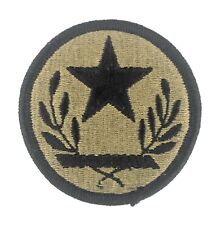U.S. Army Texas National Guard OCP Patch w/ hook fastener (each) picture