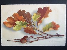 cpa Meissner & book WATERCOLOR DRAWING signed Catharina KLEIN tree CHENE acorn picture