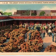 1936 Tarpon Springs Fla Largest Sponge Exchange Market Advertising Crowd PC A226 picture
