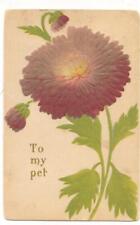 Vintage 1908 PC; To My Pet with a Single Zinnia picture
