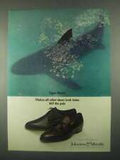 1967 Johnston & Murphy Tiger Shark Shoes Ad picture