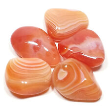 Apricot Orange Botswana Agate Tumbled Polished Stone, 5 Pc Set, Avg Size 0.85