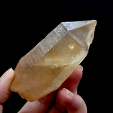 3.7in 149g DT ET Pink Shadow Lemurian Seed Quartz Crystal, Smoky Scarlet Temple picture