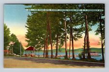 Inlet NY-New York, View From Hotel Mohawk Looking, Antique, Vintage Postcard picture