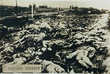 WWI Argonne Forest Battle Aftermath Dead Soldiers Disturbing Death RPPC c1918 picture