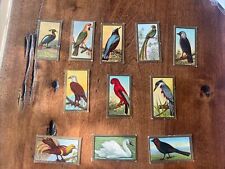 1910 T42 Mecca BIRD SERIES (GOLD Border) -Lot of 11 picture