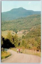 Huntington Vermont Camels Hump Scenic Landmark Mountains Chrome Postcard picture