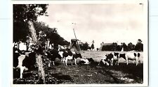 Fries Landschap Dairy Cows Holland Windmill in Background Farm RPPC Postcard F1 picture