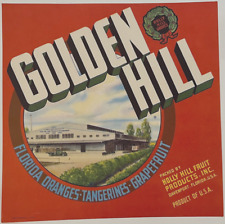 Golden Hill Davenport Florida Holly Hill Groves Original Crate Label NOS c.1940s picture