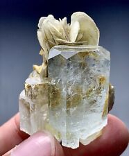 116 Carat Aquamarine Crystal With Mica From Skardu Pakistan picture