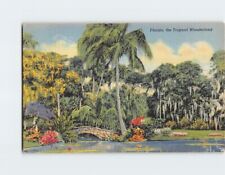 Postcard McKee Jungle Gardens The Tropical Wonderland Florida USA picture