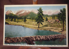 c1920s Colorado Rocky Mountain National Park Beaver Dam In Hidden Valley picture
