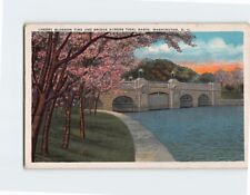 Postcard Cherry Blossom Time & Bridge Across Tidal Basin Washington DC USA picture