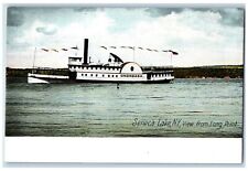 1905 View From Long Point Onondaga Steamer Seneca Lake New York Vintage Postcard picture