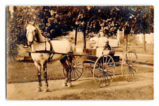 RPPC 1906. HORSE DRAWN. BEN,FURY & GIDGET. BEAUTIFUL BABY PUPPY  POSTCARD KK13 picture