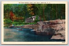 Brevard NC~Rockbrook Summer Camp For Girls~French Broad River Basin~VTG Linen PC picture