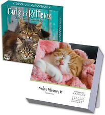 CATS AND KITTENS - 2025 DAILY DESK CALENDAR - BRAND NEW - 53101 picture