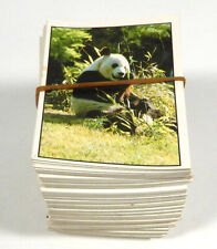 1987 Panini World Wildlife Fund (WWF) Sticker Set (360)  Endangered Species picture