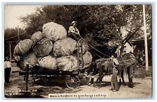 c1910's Horse And Wagon Exaggerated Cabbage Martin Antique RPPC Photo Postcard picture
