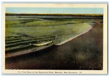 c1940's The Tidal Bore of the Petitcodiac River Moncton NB Canada Postcard picture