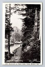 Camp Meeker CA-California, Boulevard On Upper Lake, Antique, Vintage Postcard picture