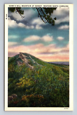 Hawk's Bill Mountain At Sunset Western North Carolina Postcard picture