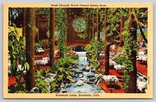 Postcard Brook Through World Famous Dining Room Brookdale Lodge California picture