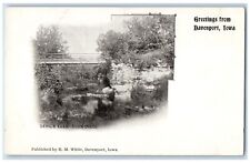 Davenport Iowa Postcard Devil's Glen Duck Creek Exterior c1898 Vintage Antique picture