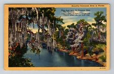 FL-Florida, Beautiful Suwannee River, Vintage Postcard picture