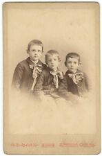 Antique c1880s Cabinet Card Sedgwick Three Adorable Boys in Suits Zanesville, OH picture