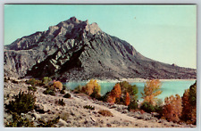 c1960s Cedar Mountain Buffalo Bill Reservoir Wyoming Vintage Postcard picture