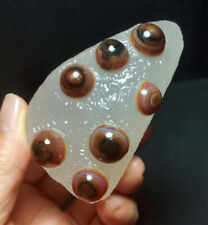RARE 180G Natural Beautiful Gobi agate eyes Agate /Stone Healing WYY2255 picture