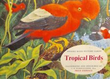 Tropical Birds - Tea Card Full Album  -  Good Condition - #326 picture